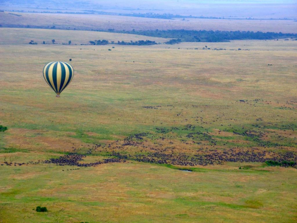 Sekenani Camp Maasai Mara Hotel Bagian luar foto