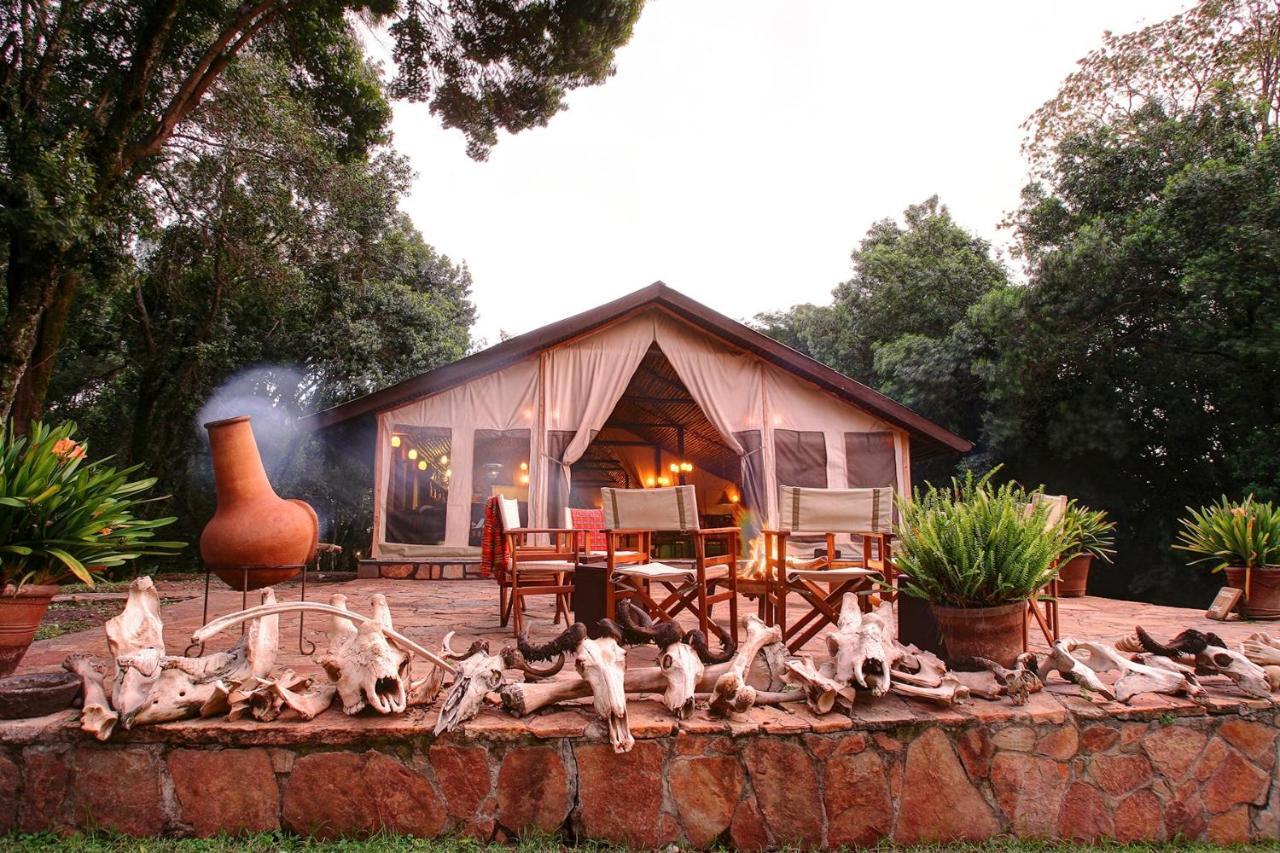 Sekenani Camp Maasai Mara Hotel Bagian luar foto